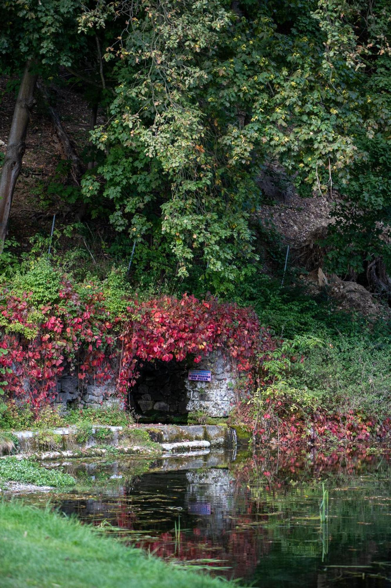 Rozin- Klimatyczne Domki Caloroczne I Jura Krakowsko-Czestochowska Krzeszowice Exterior photo