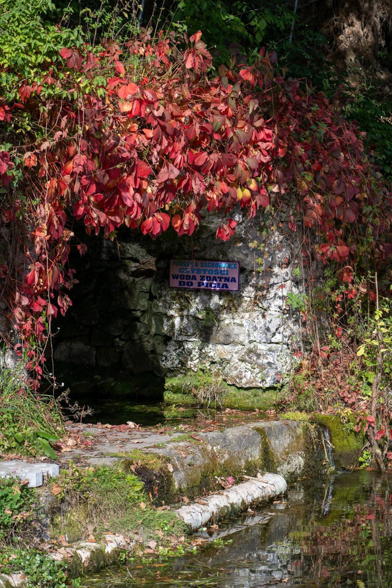Rozin- Klimatyczne Domki Caloroczne I Jura Krakowsko-Czestochowska Krzeszowice Exterior photo