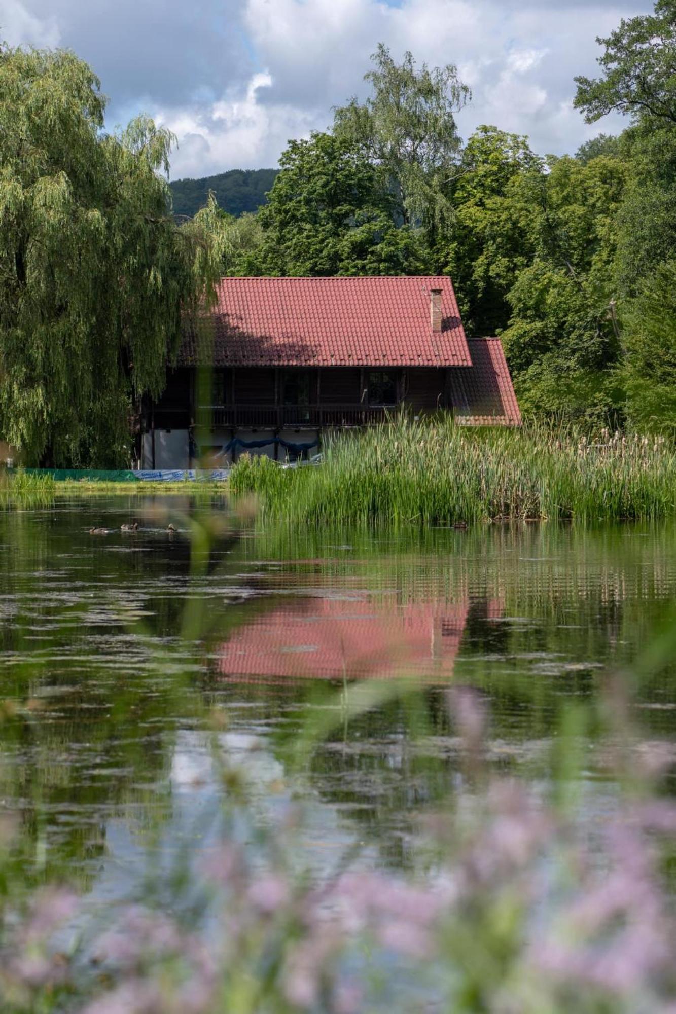 Rozin- Klimatyczne Domki Caloroczne I Jura Krakowsko-Czestochowska Krzeszowice Exterior photo