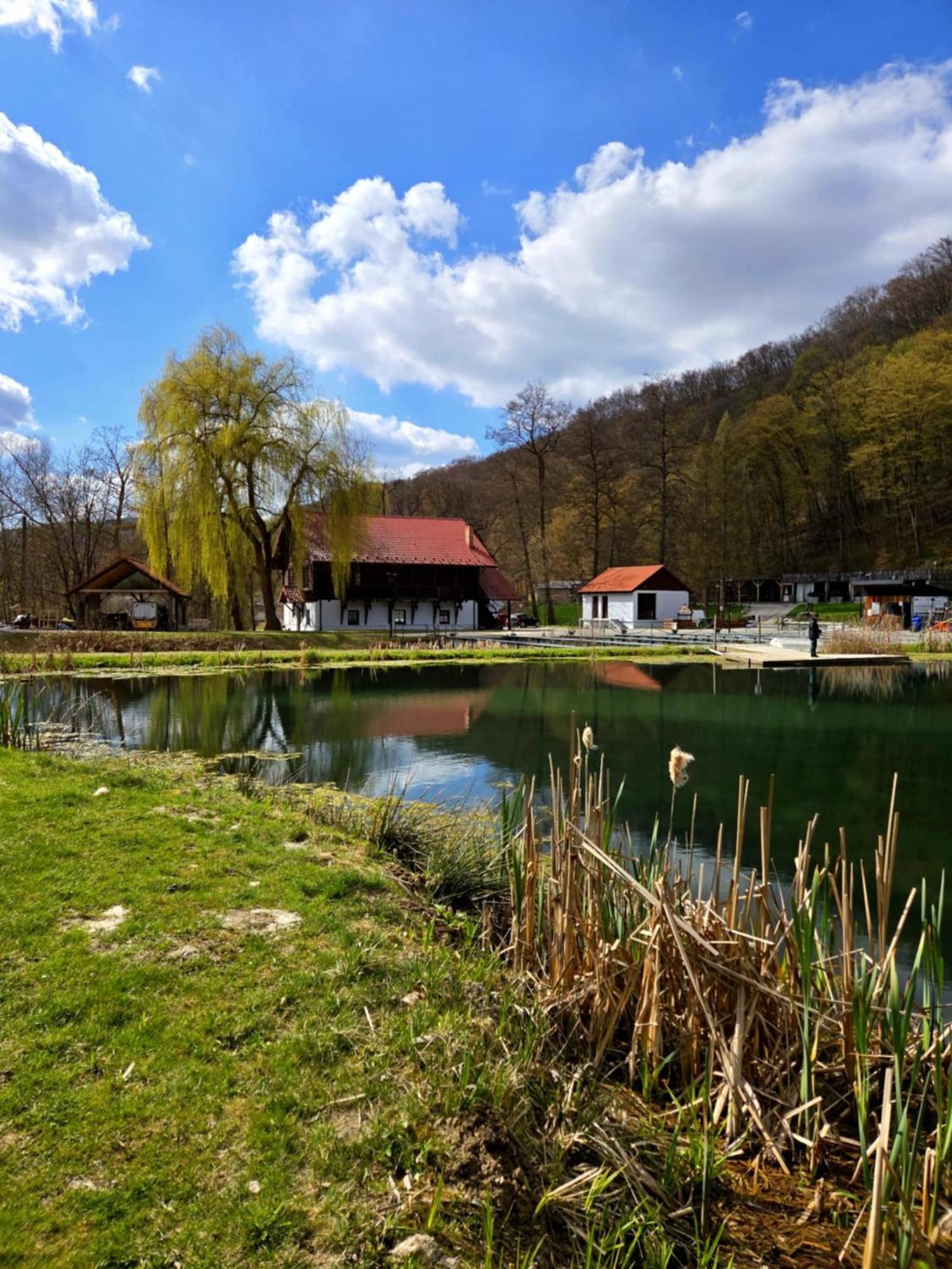 Rozin- Klimatyczne Domki Caloroczne I Jura Krakowsko-Czestochowska Krzeszowice Exterior photo
